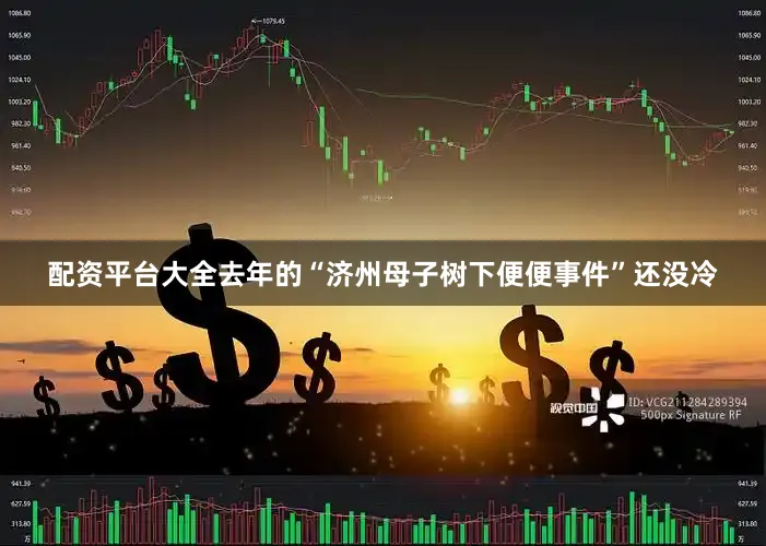 配资平台大全去年的“济州母子树下便便事件”还没冷