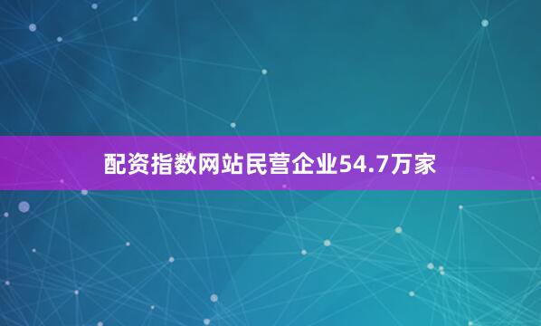 配资指数网站民营企业54.7万家