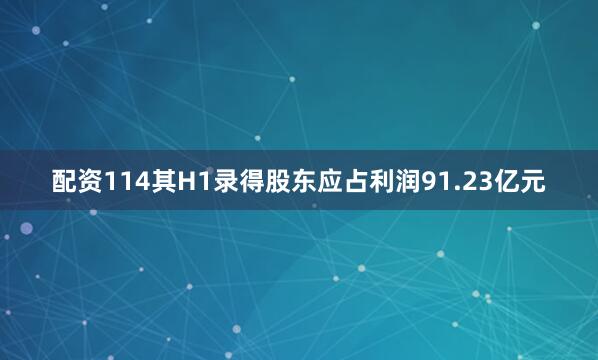 配资114其H1录得股东应占利润91.23亿元