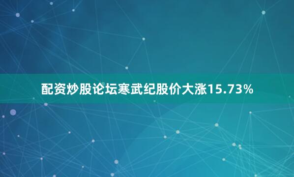 配资炒股论坛寒武纪股价大涨15.73%