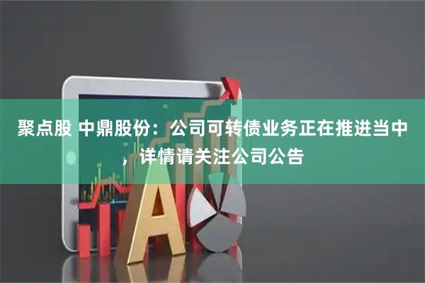 聚点股 中鼎股份：公司可转债业务正在推进当中，详情请关注公司公告