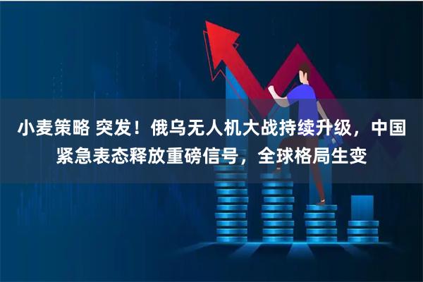 小麦策略 突发!俄乌无人机大战持续升级,中国紧急表态释放重磅信号,全球格局生变