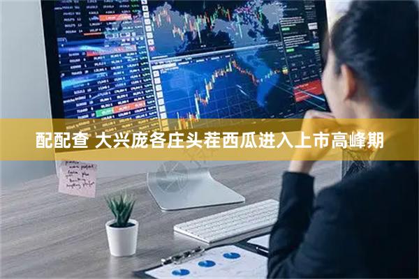 配配查 大兴庞各庄头茬西瓜进入上市高峰期