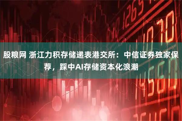 股粮网 浙江力积存储递表港交所：中信证券独家保荐，踩中AI存储资本化浪潮