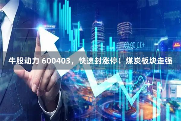 牛股动力 600403，快速封涨停！煤炭板块走强