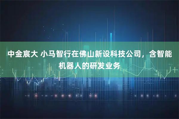 中金宸大 小马智行在佛山新设科技公司，含智能机器人的研发业务