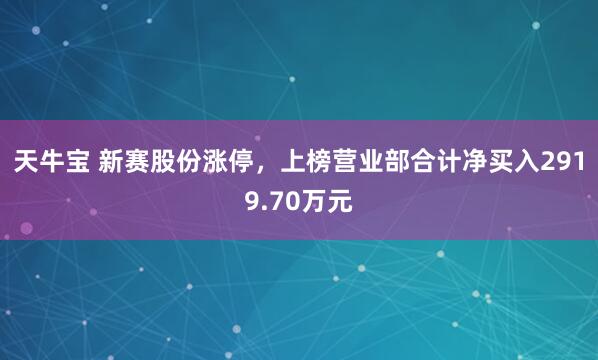 天牛宝 新赛股份涨停，上榜营业部合计净买入2919.70万元