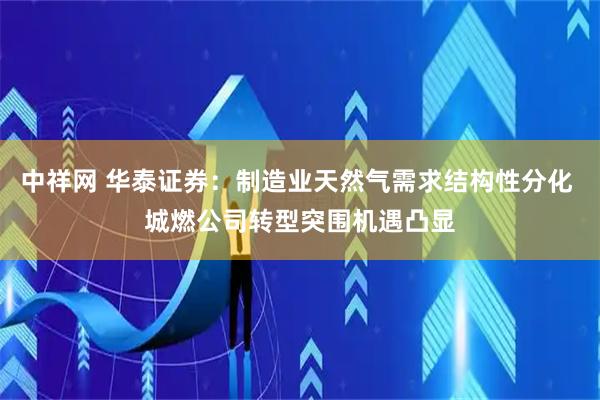 中祥网 华泰证券：制造业天然气需求结构性分化 城燃公司转型突围机遇凸显